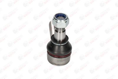 CAP DE BARA BIRTH TS1718 10