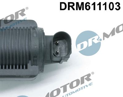 EGR Valve DRM611103