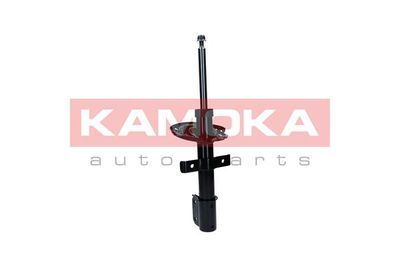 Shock Absorber 2001180