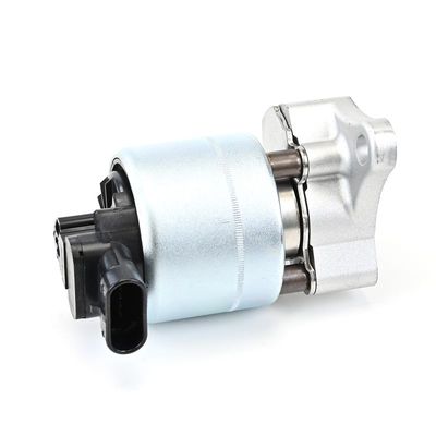 SUPAPA EGR DELPHI EG1000712B1 24