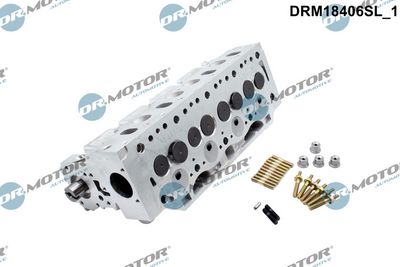CHIULASA Dr.Motor Automotive DRM18406SL 1