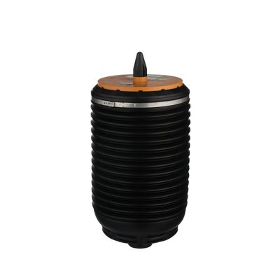 LUFTFEDER FAHRWERK Arnott A3892 18