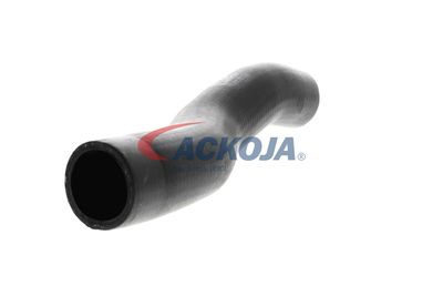 FURTUN EAR SUPRAALIMENTARE ACKOJA A529600 51