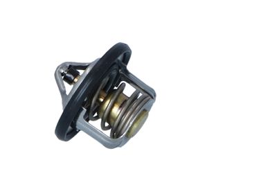 TERMOSTAT LICHID RACIRE NRF 725211 21
