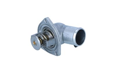 TERMOSTAT LICHID RACIRE NRF 725014 13