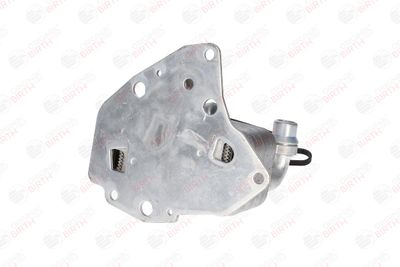 RADIATOR ULEI ULEI MOTOR BIRTH 80268 8