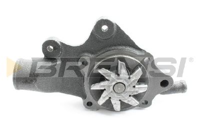 BREMSI WP0579 Помпа (водяной насос)  для JEEP WRANGLER (Джип Wранглер)