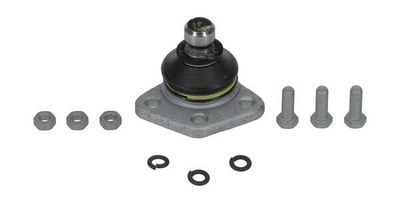 ARTICULATIE SARCINA/GHIDARE