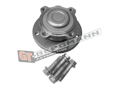 GT-BERGMANN Automotive Rato guolio komplektas