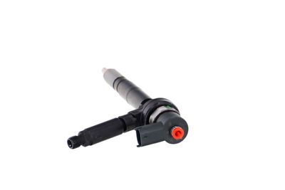INJECTOR REMANTE 002003001191R 23