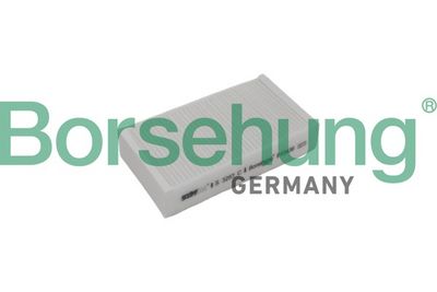 Borsehung Filtras, salono oras