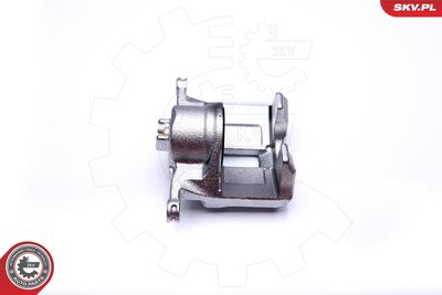 Brake Caliper 42SKV241