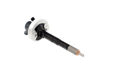 INJECTOR REMANTE 002003001315R 51