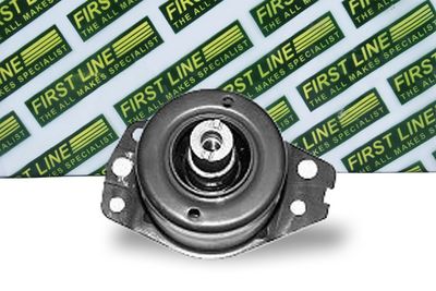 окачване, двигател FIRST LINE FEM3055