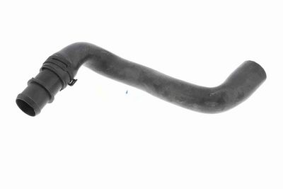 FURTUN RADIATOR VAICO V202462 1