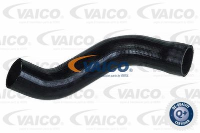 Трубка нагнетаемого воздуха VAICO V22-1099 для LANCIA ZETA