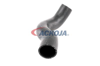 FURTUN EAR SUPRAALIMENTARE ACKOJA A380307 49