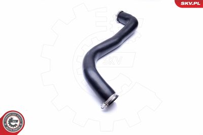 FURTUN EAR SUPRAALIMENTARE