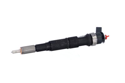INJECTOR REMANTE 002003001671R 9