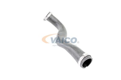 LADELUFTSCHLAUCH VAICO V103817 19