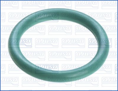 GARNIT ETANS. EVAC.ULEI (COMPRESOR)