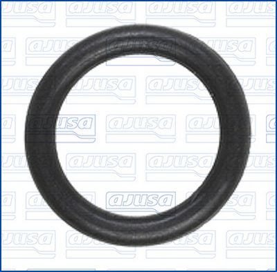 DICHTUNG WASSERANSCHLUSS (LADER)