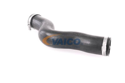 FURTUN EAR SUPRAALIMENTARE VAICO V401448 42