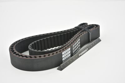 CUREA DE DISTRIBUTIE FEBEST 25140M705 44