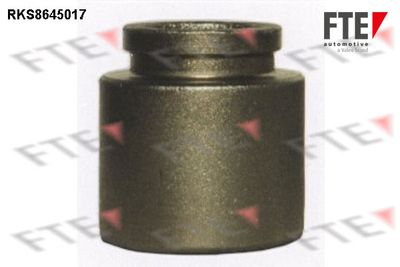 FTE RKS8645017 Ремкомплект тормозного суппорта  для SUBARU FORESTER (Субару Форестер)