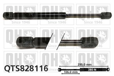 газов амортисьор, капак на двигателя QUINTON HAZELL QTS828116