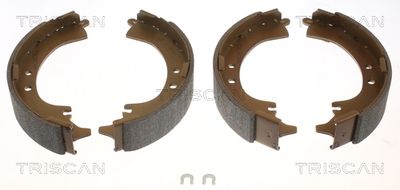 Комплект тормозных колодок TRISCAN 8100 13569 для DAIHATSU TERIOS