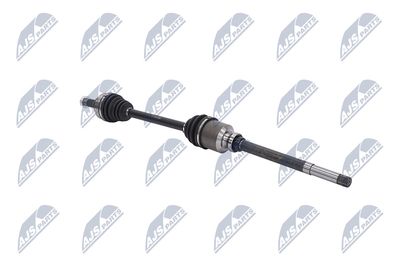 PLANETARA NTY NPWCT009 28