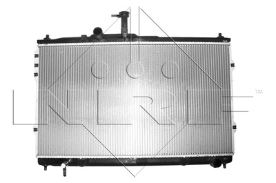 Радиатор, охлаждение двигателя WILMINK GROUP WG1723361 для HYUNDAI H-1