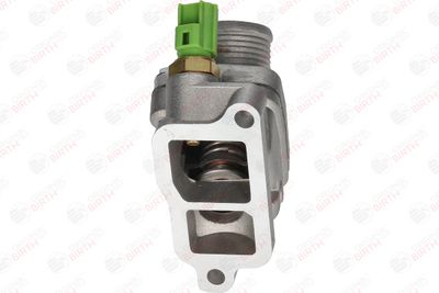 FLANSA LICHID RACIRE BIRTH 81771 10