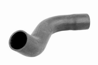 FURTUN EAR SUPRAALIMENTARE