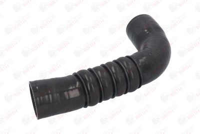 FURTUN EAR SUPRAALIMENTARE BIRTH 55588 6