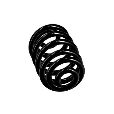 ARC SPIRAL EIBACH R10010 12