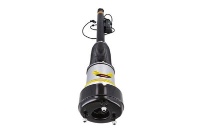Luftfederbein KAMOKA 2070054