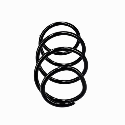 ARC SPIRAL EIBACH R10546 1