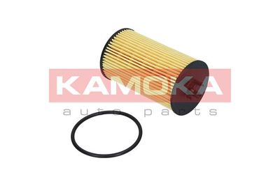 Oil Filter F106001