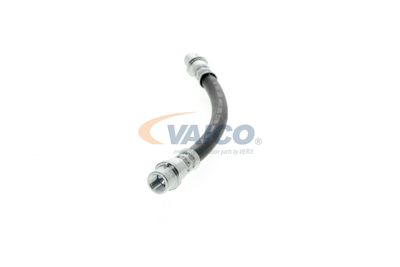 FURTUN FRANA VAICO V104136 24
