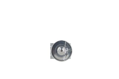 SUPAPA EXPANSIUNE CLIMA WALKER WEX00024 5