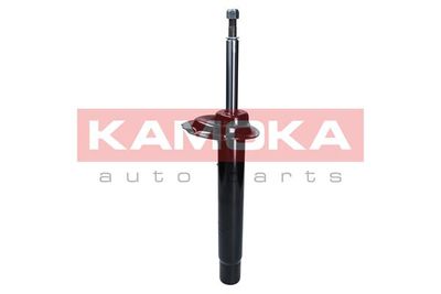 Shock Absorber 2000382