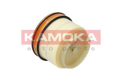 Fuel Filter F305301