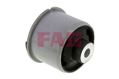 Schaeffler FAG Lagerung, Achskörper