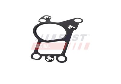 GARNITURA VENTIL AGR FAST FT50623 7