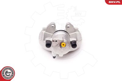 Brake Caliper 34SKV232