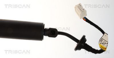 AMORTIZOR PORTBAGAJ TRISCAN 871025303 2