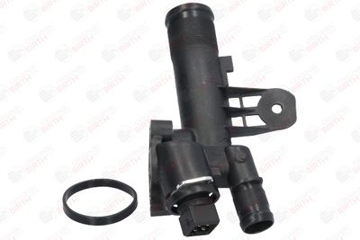 FLANSA LICHID RACIRE BIRTH 81036 10