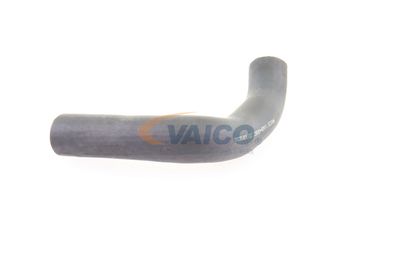 LADELUFTSCHLAUCH VAICO V480062 32